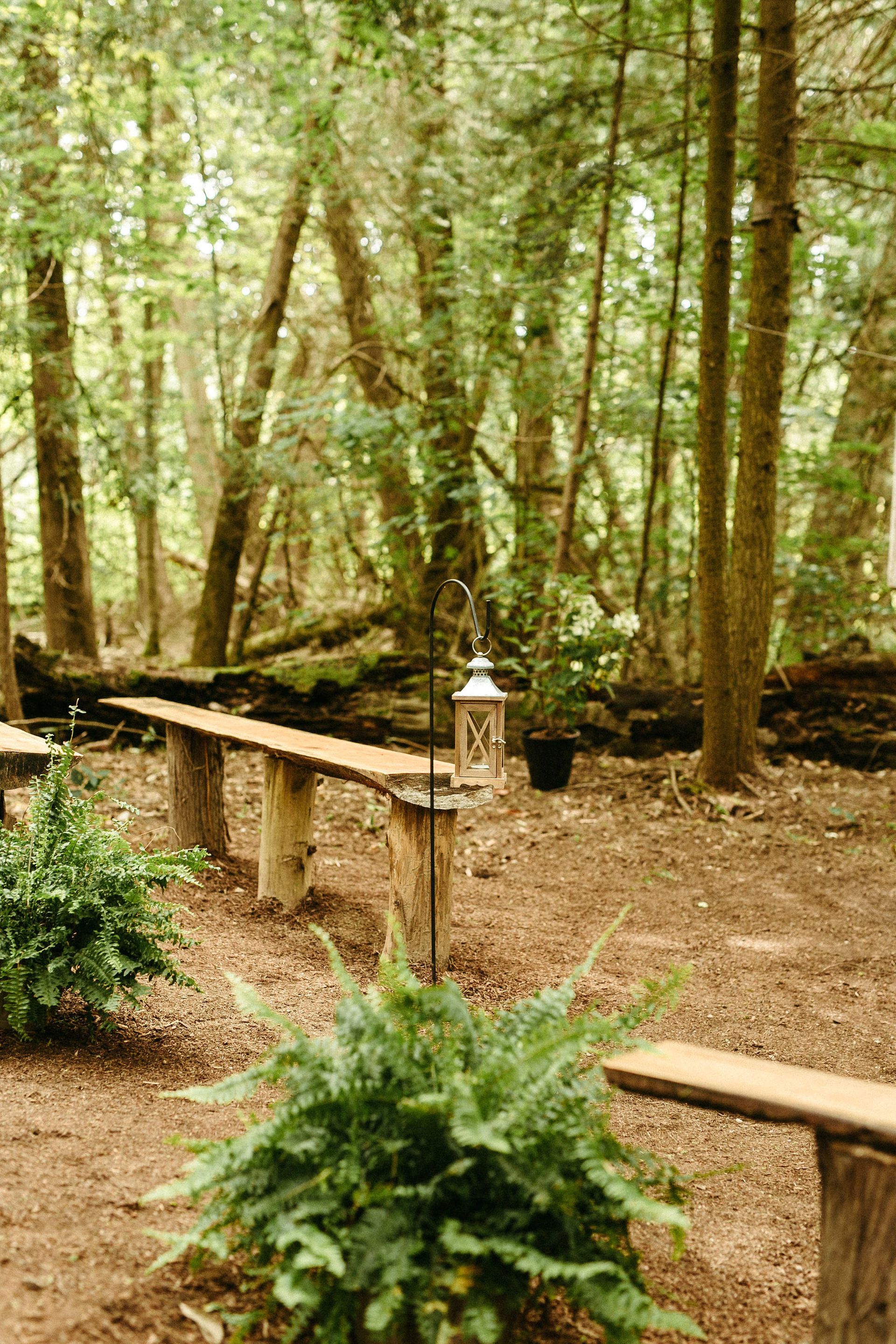 Outdoor ceremony site in a forest with wooden benches, ferns, and a lantern.