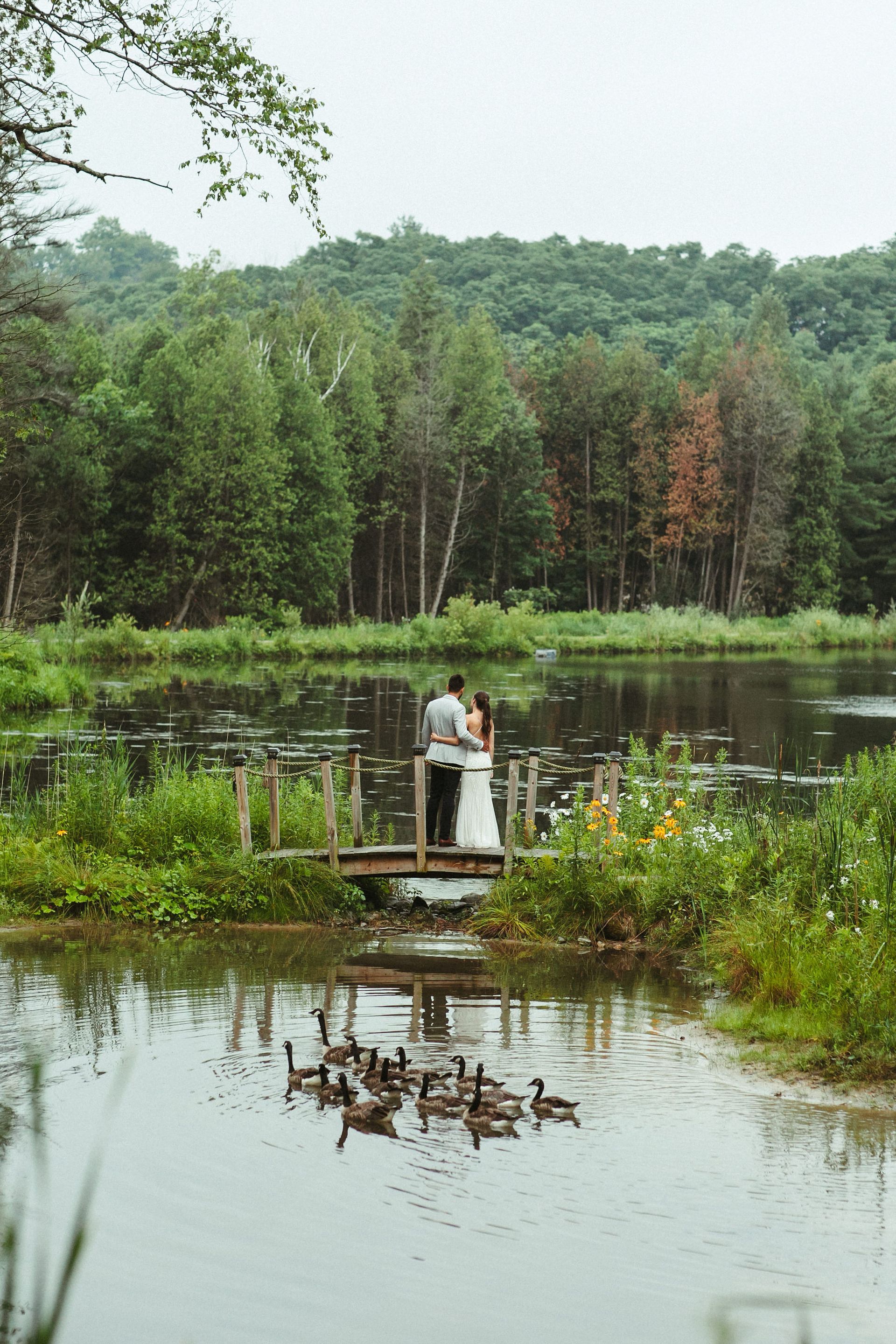 Couple on small wooden bridge over pond, geese in water, surrounded by greenery and trees.