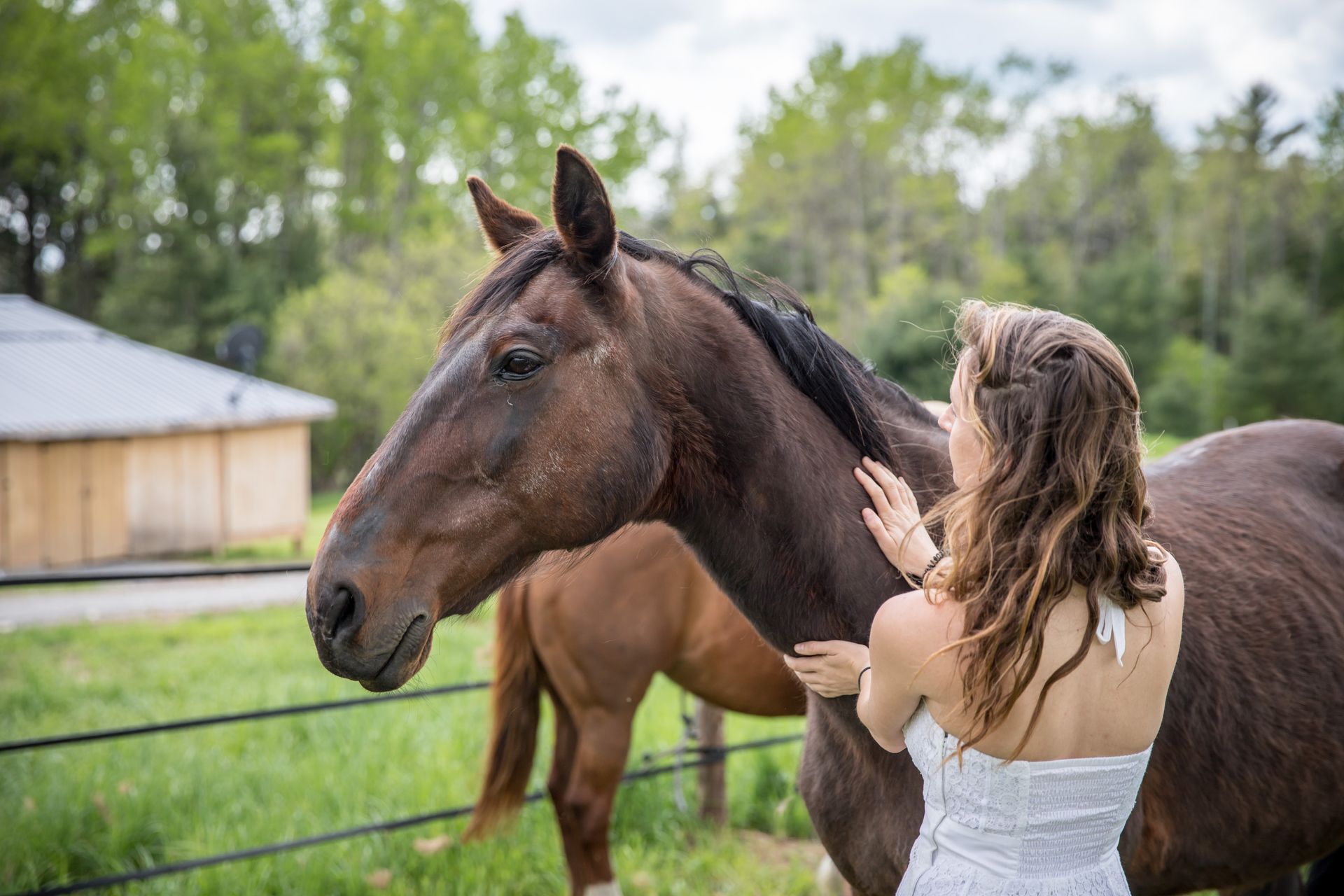 Guest standing with a gentle horse during an Equine Assisted Learning (EAL) wellness session.