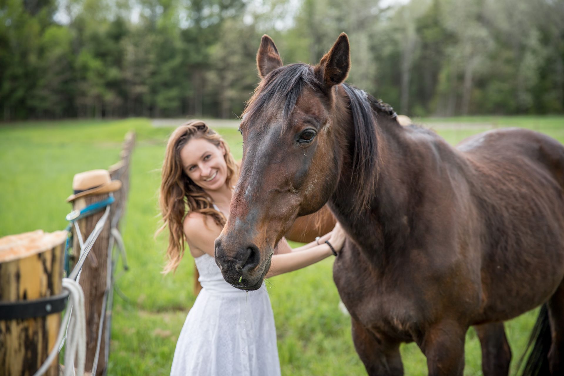 Guest standing with a gentle horse during an Equine Assisted Learning (EAL) wellness session.