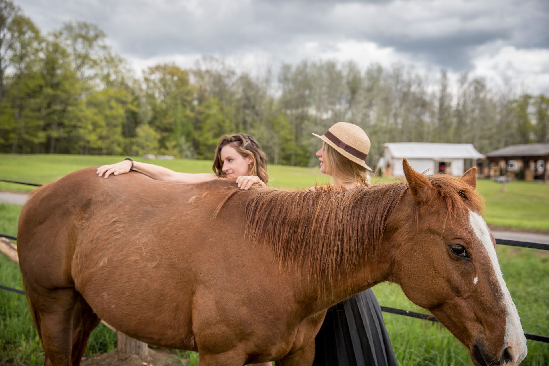 Guests standing with a gentle horse during an Equine Assisted Learning (EAL) wellness session.