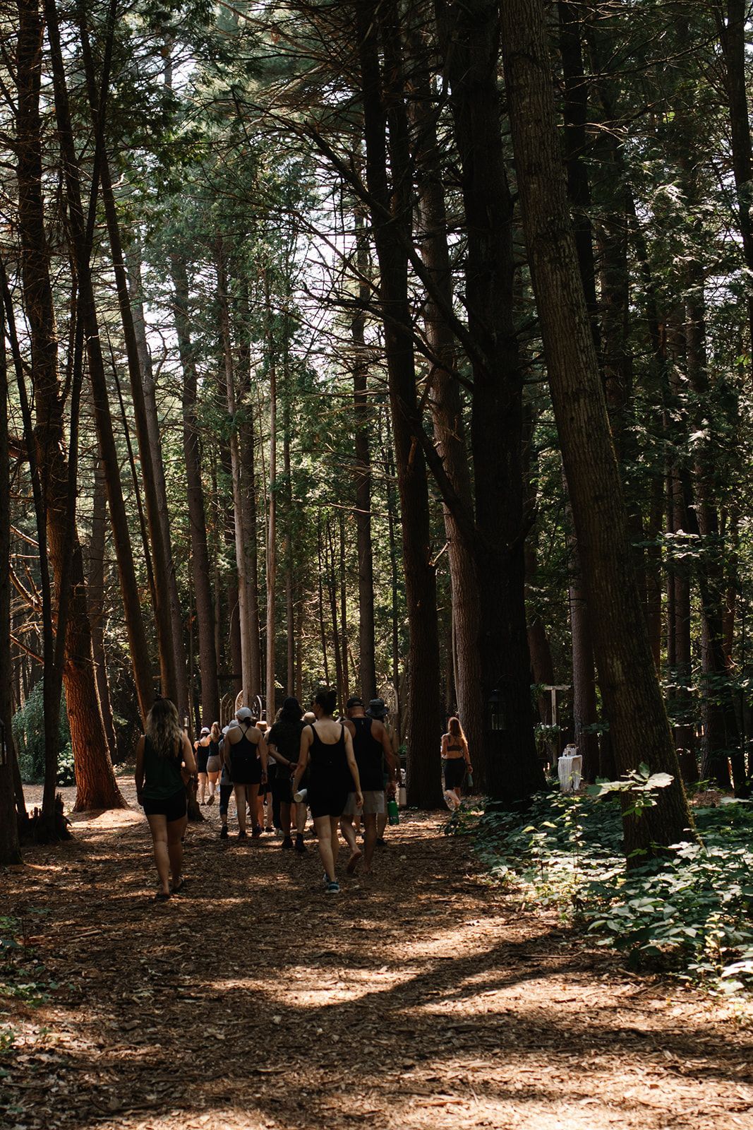 Yoga retreat whispering springs