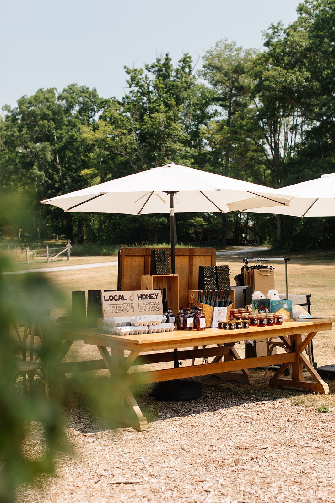 Yoga retreat whispering springs