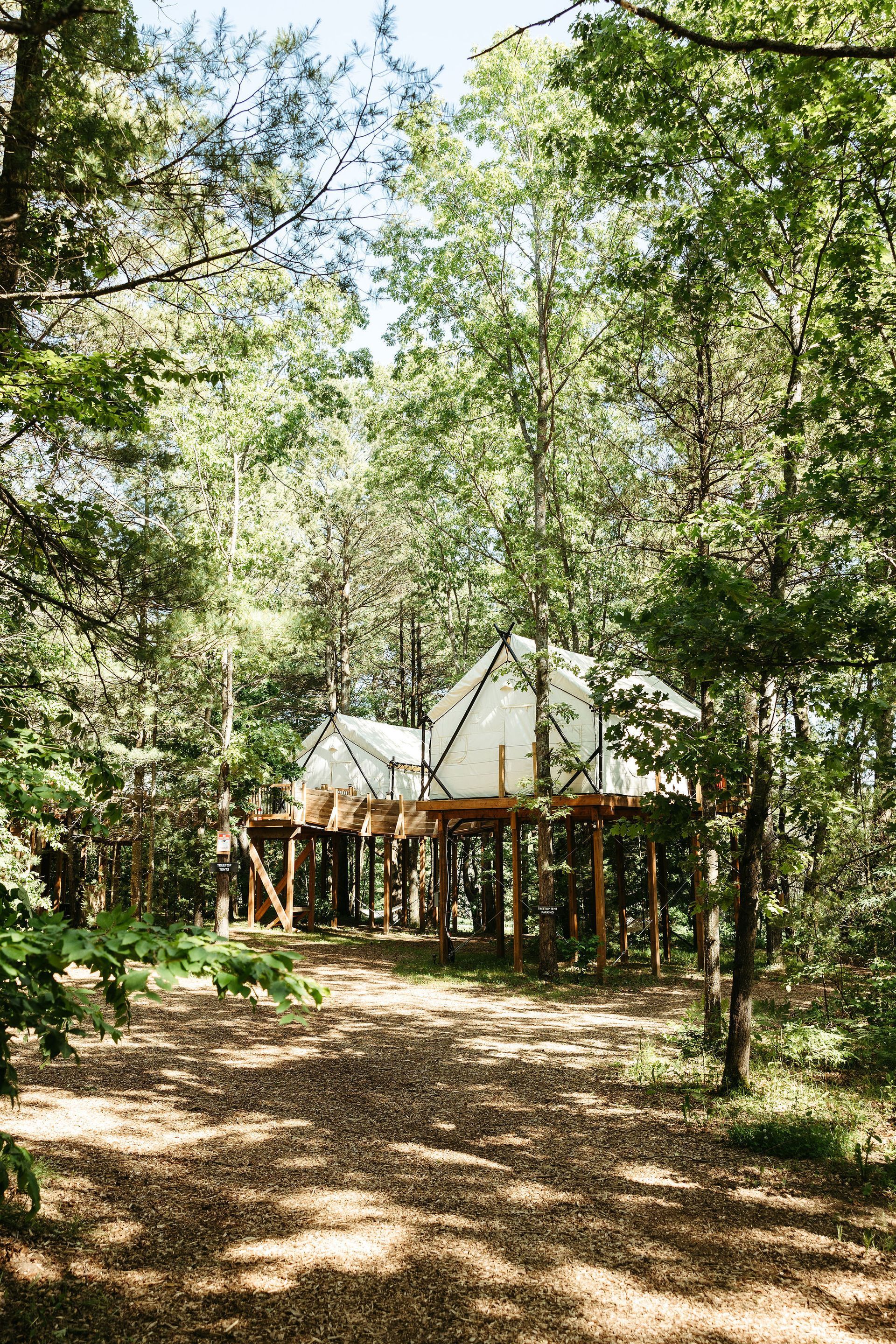 Two elevated cabins on wooden stilts in a forest clearing.