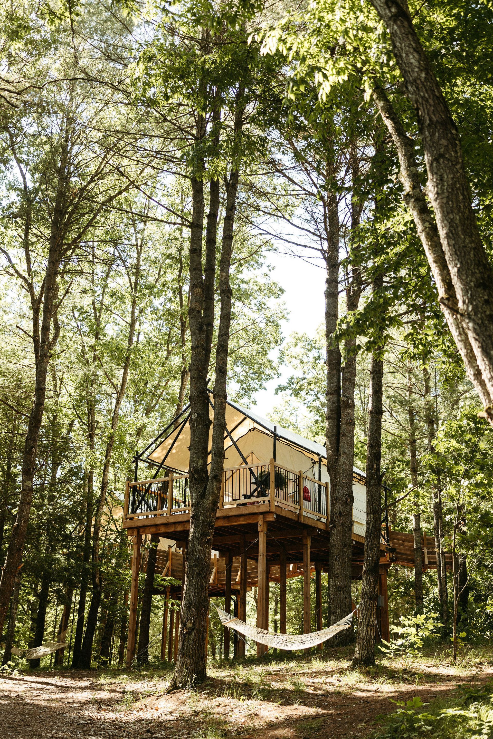 Treehouse with wooden deck and white canvas roof surrounded by trees; a hammock hangs below.