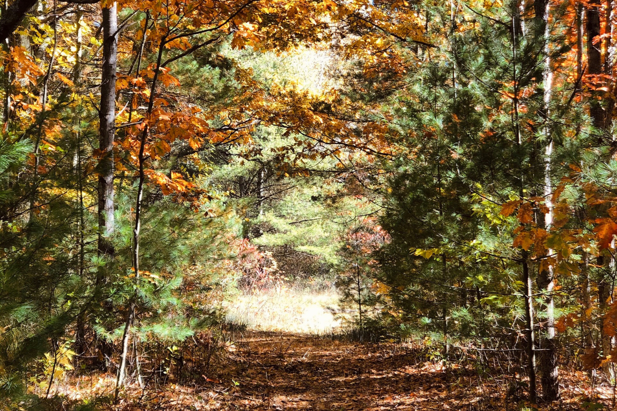 glamping at Whispering springs in Ontario