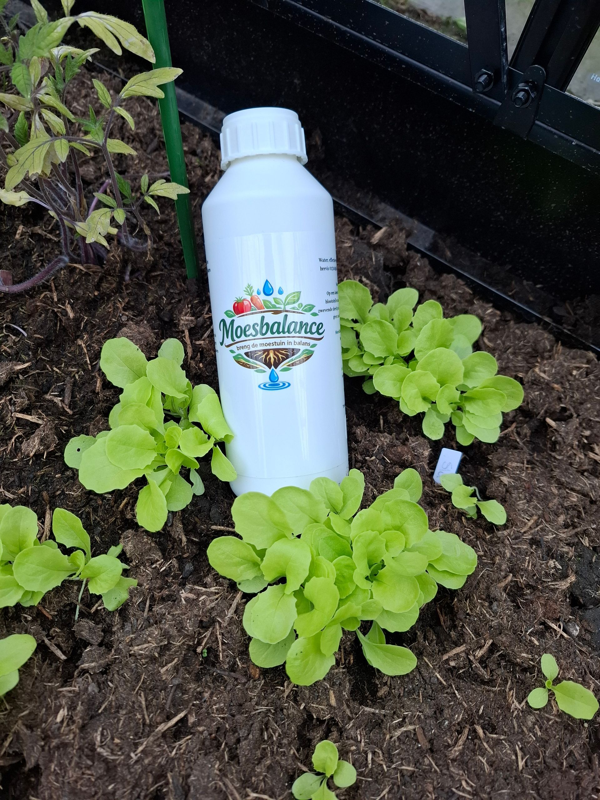 Een witte fles in tuinaarde naast groene bladplanten in een kas Moesbalance