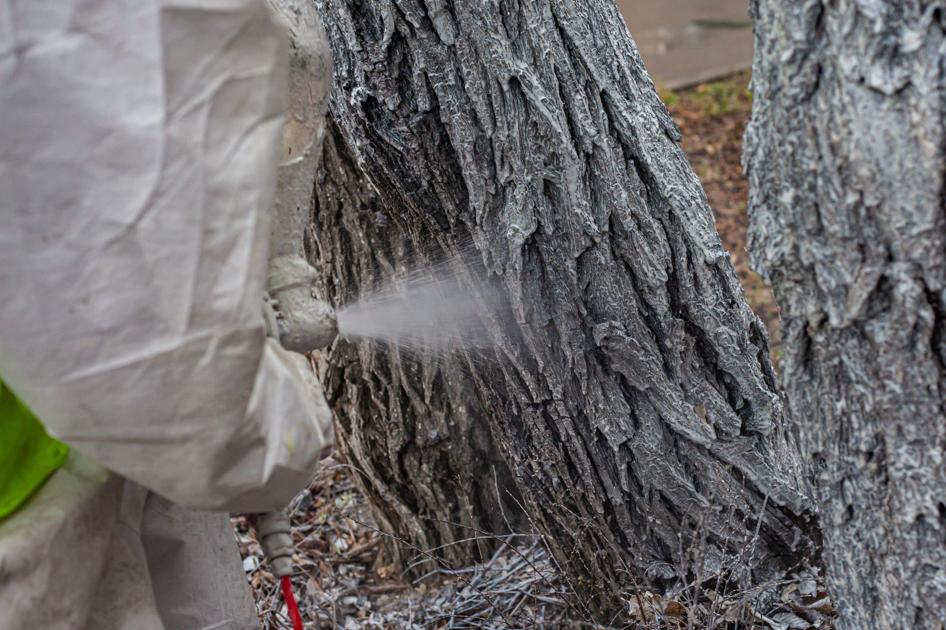 A person spraying a tree trunk with a fine mist of liquid outdoors.