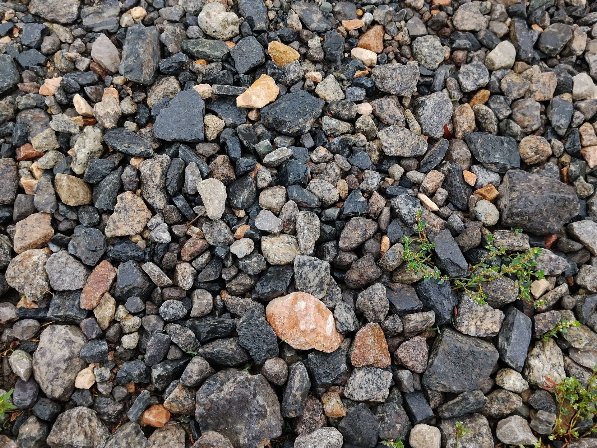 Close-up of gray and brown gravel with a few small green weeds growing between stones