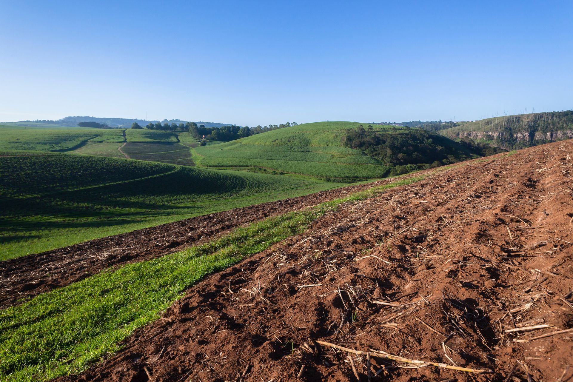 Plowed brown field beside green rolling hills under a clear blue sky