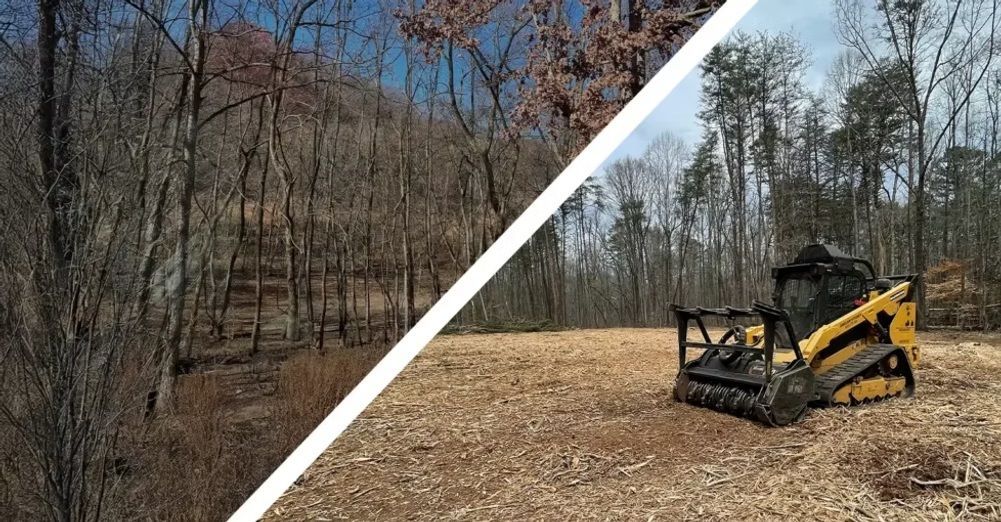 Split-view of a wooded lot before and after clearing, with a yellow skid steer removing brush on the right.