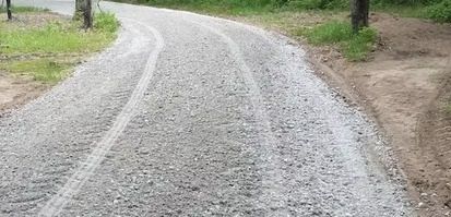 Curved gravel road through a grassy area with trees on both sides
