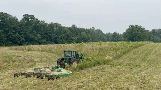 Tractor mowing a field beside a tall grassy edge and tree line under an overcast sky