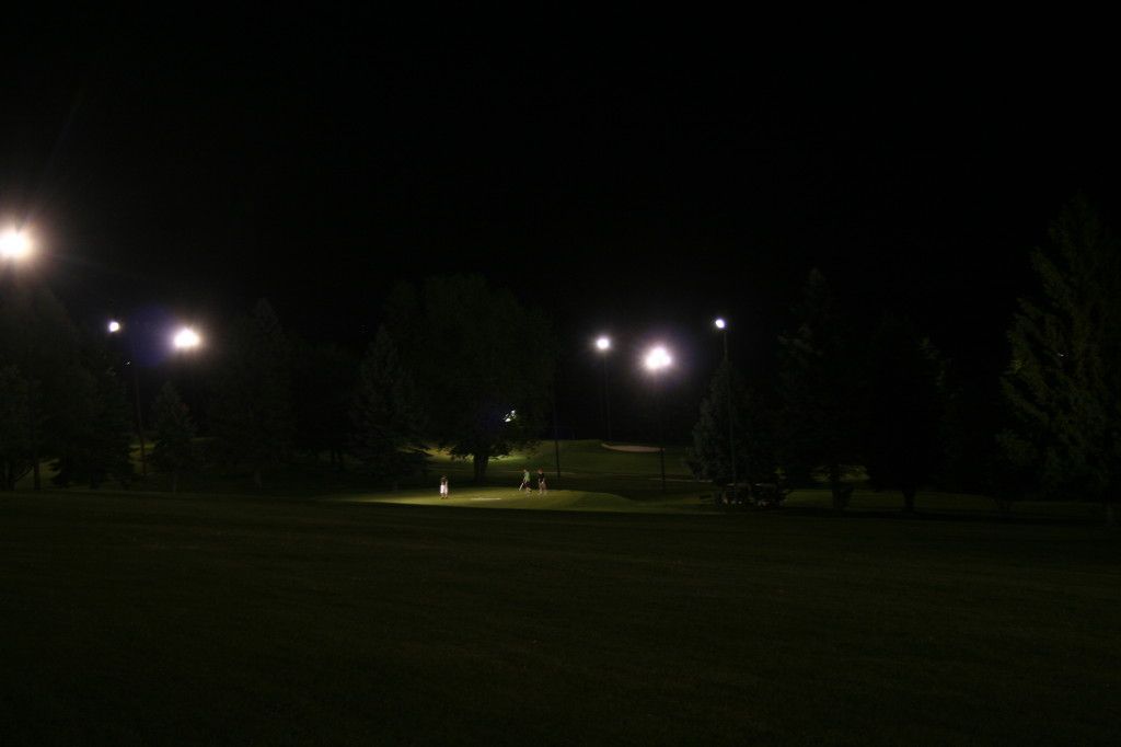 A park at night with lots of street lights and trees.