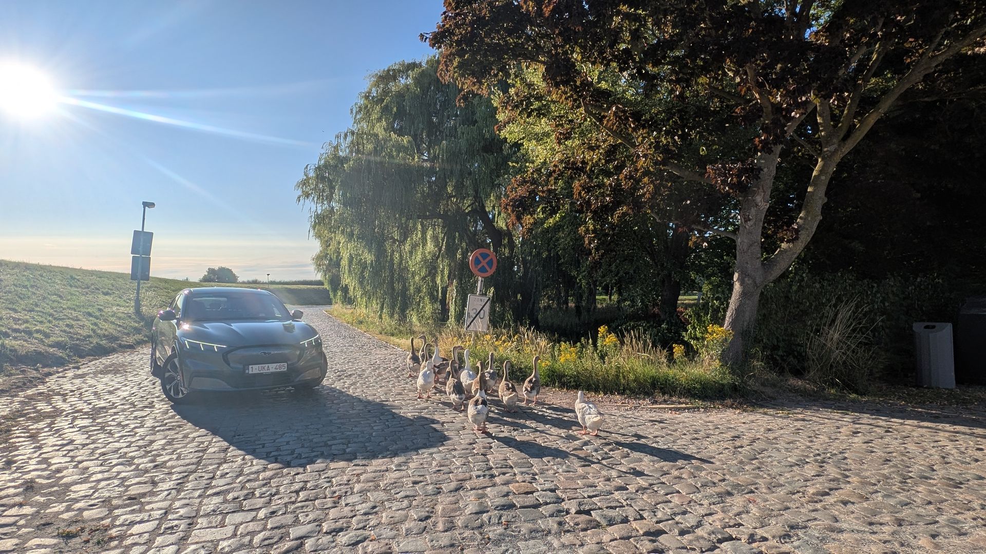 Cobblestone road with a dark car and trees, bright sunlight.