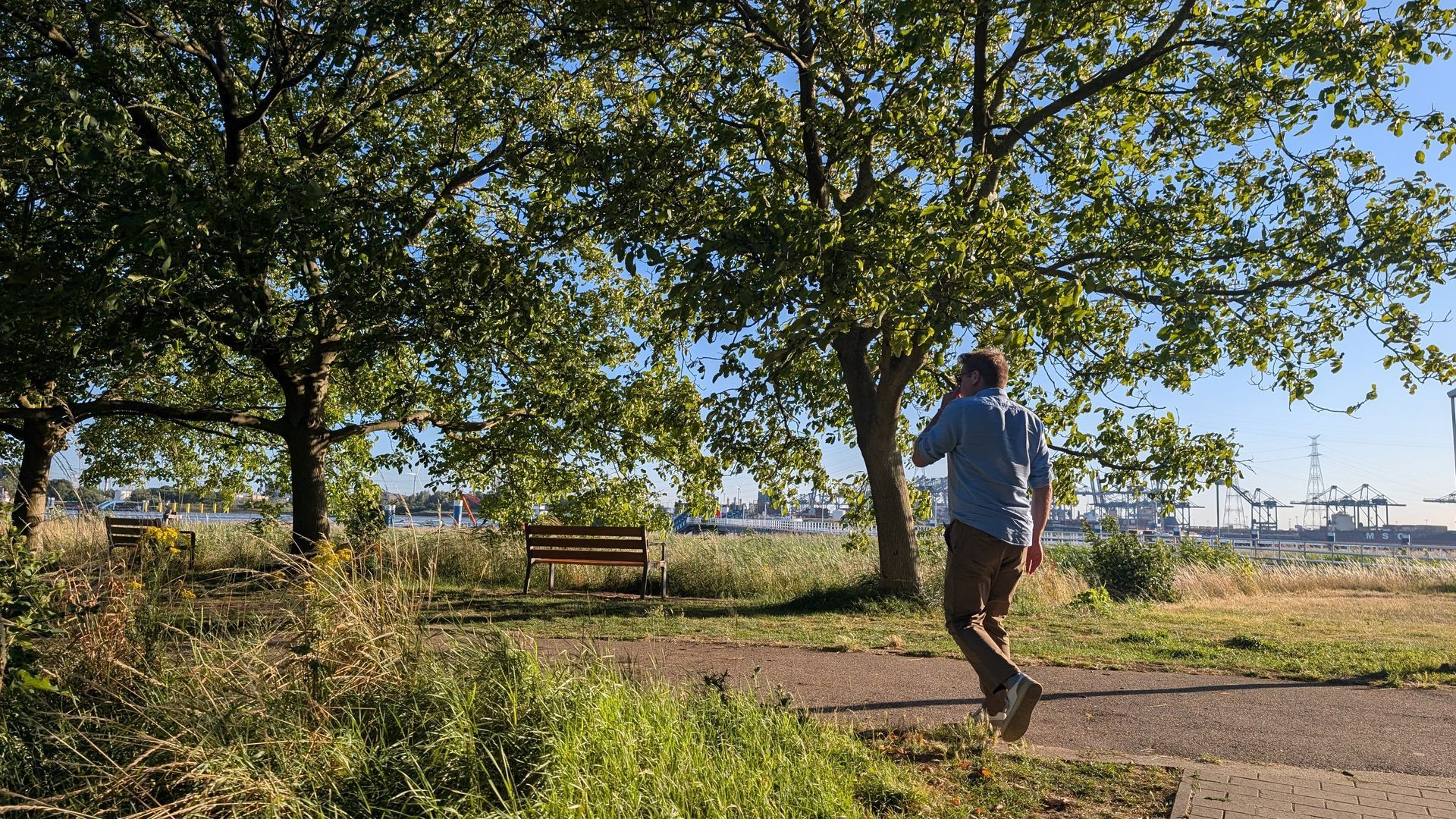 Man walking on a path in a park, talking on the phone. Trees, benches, and waterfront in the background.