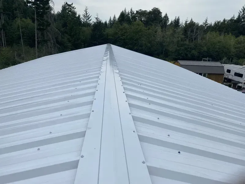 White metal roof ridge over forested area, with buildings visible to the right.