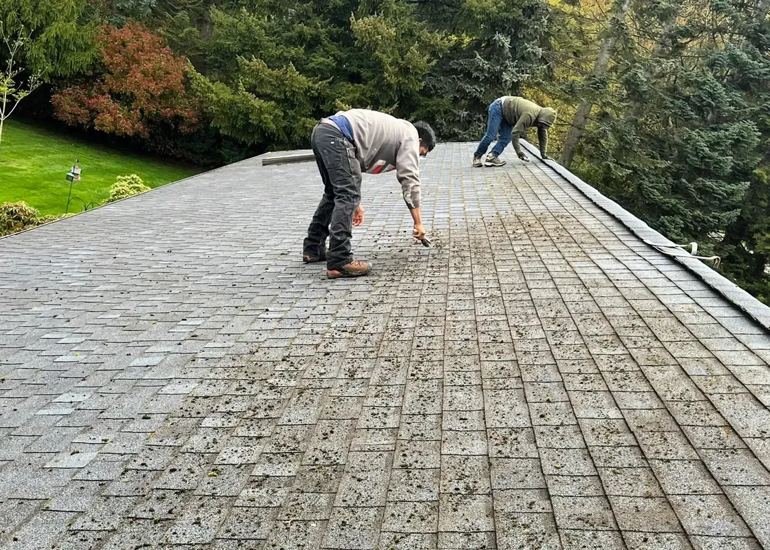 Two workers cleaning moss off a gray roof near trees