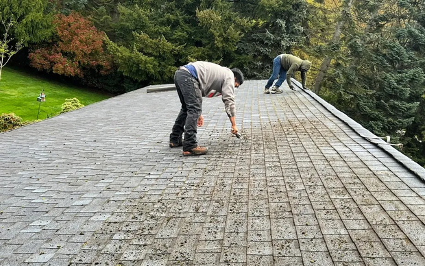 Professional roof moss removal from residential asphalt shingles