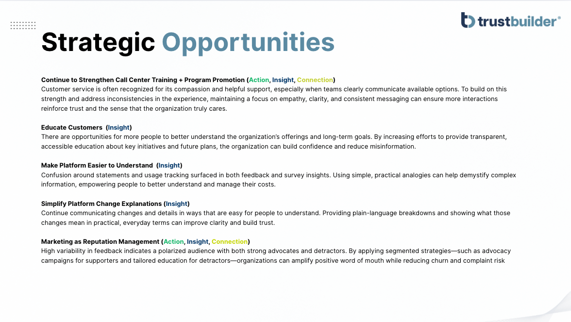 Slide titled "Strategic Opportunities" with text describing potential business strategies.