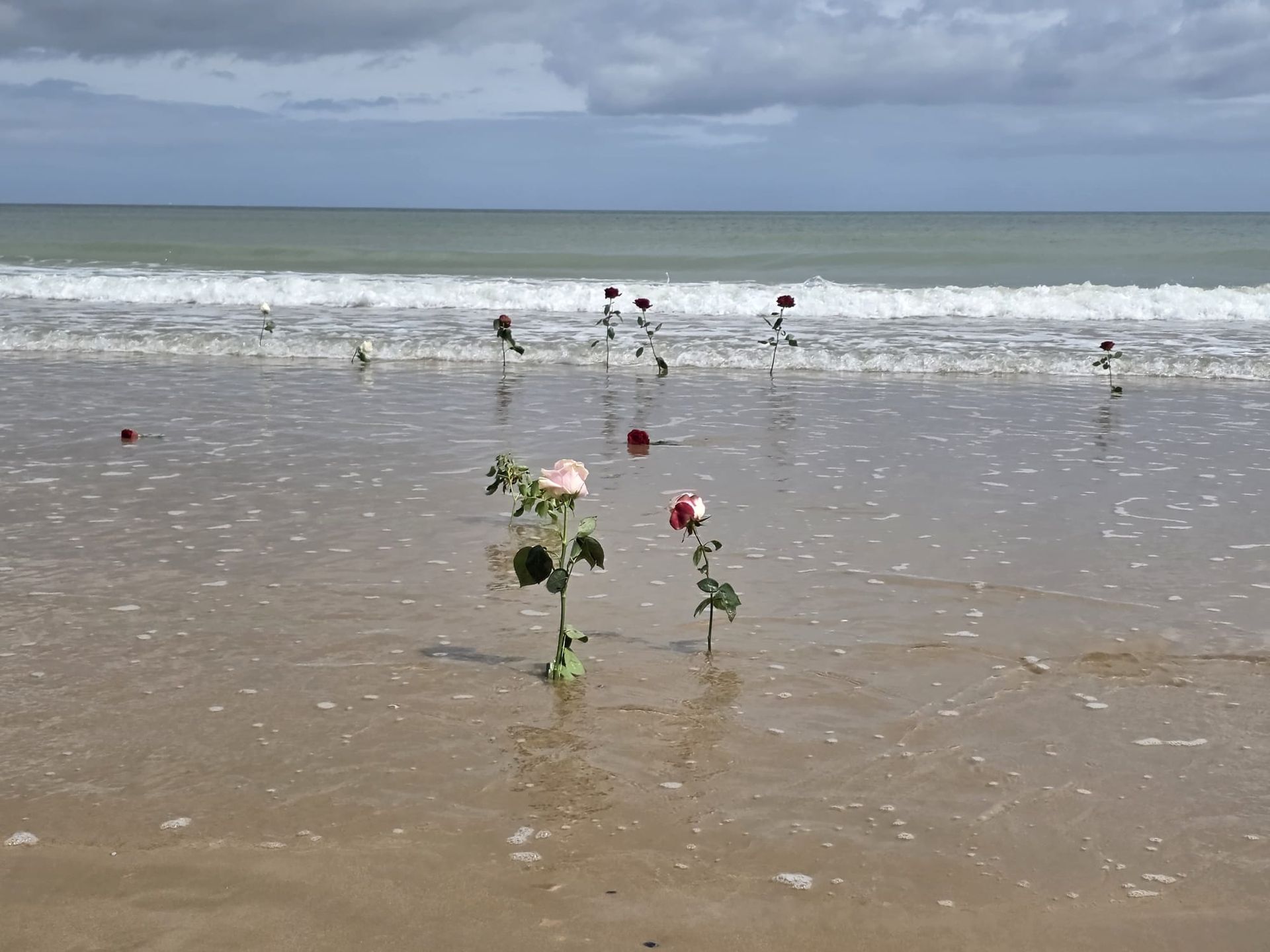 Een boeket bloemen geplant in het natte zand van een bewolkt strand, met golven en zwemmers in de verte.
