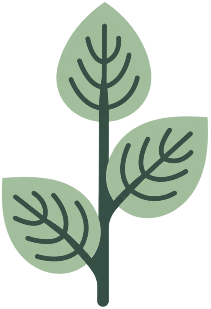 Stylized green plant with three leaves and dark stems on a white background