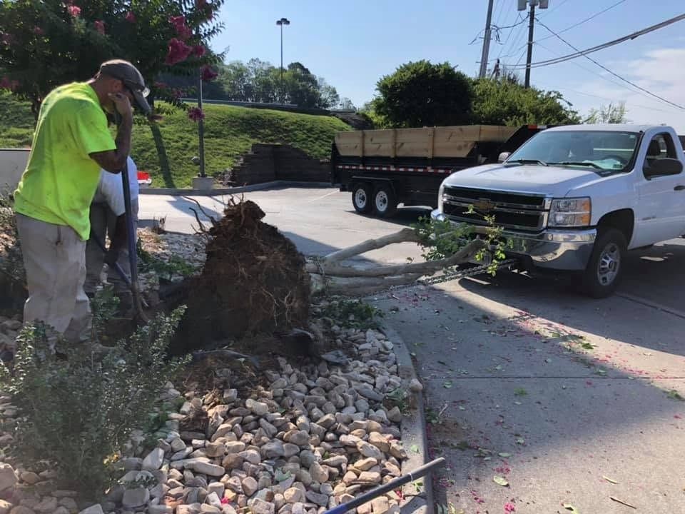 Worker clearing a storm drain beside a white pickup truck on a sunny street