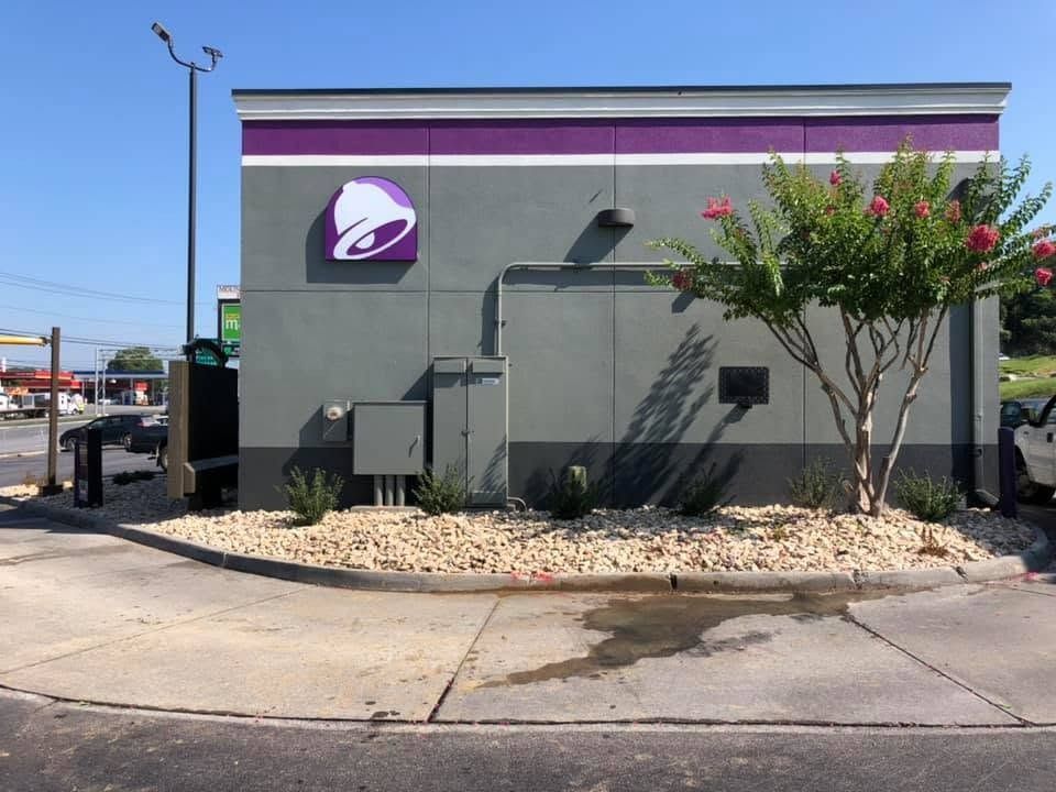 Taco Bell storefront with purple logo, gray wall, and a flowering tree by the sidewalk