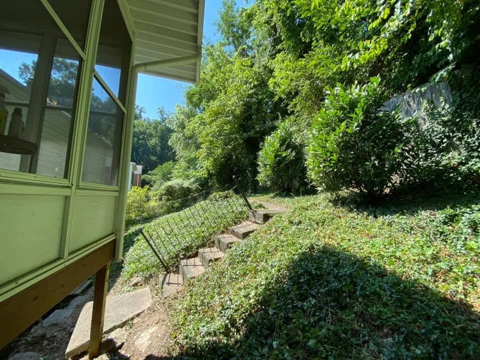 Sunny hillside garden beside a house with stone steps, dense green trees, and shrubs