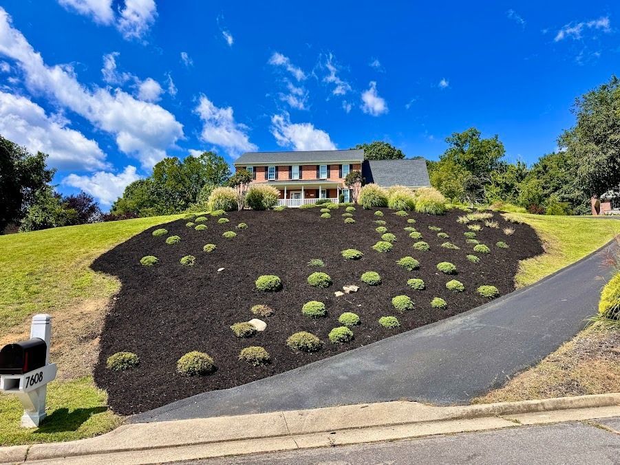 Landscaped front yard with dark mulch, small shrubs, and a house on a hill under a blue sky.