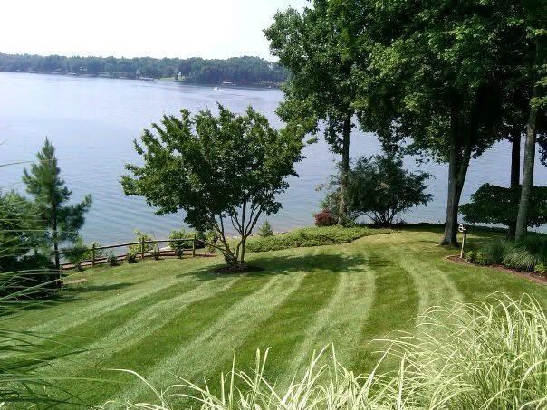 Lawn with striped mowing pattern overlooking a calm lake and trees on a sunny day