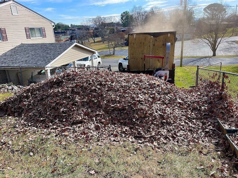 Large pile of brown leaves in a yard beside a shed and house on a sunny day