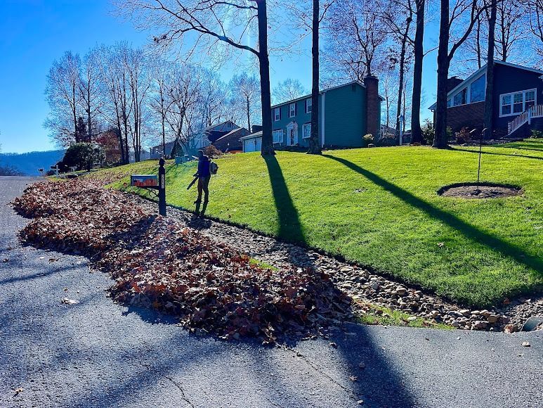Street and grassy slope with leaf piles, trees, and a house on a sunny day