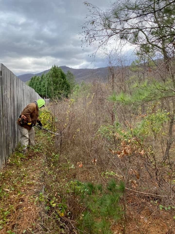 Person in a neon jacket clearing brush beside a fence in a cloudy, overgrown field.