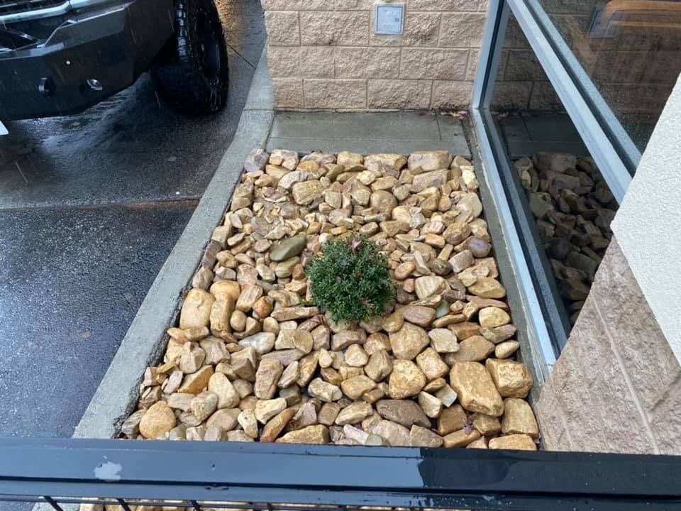Small shrub in tan rock bed beside a building, next to a sidewalk and parked vehicle.