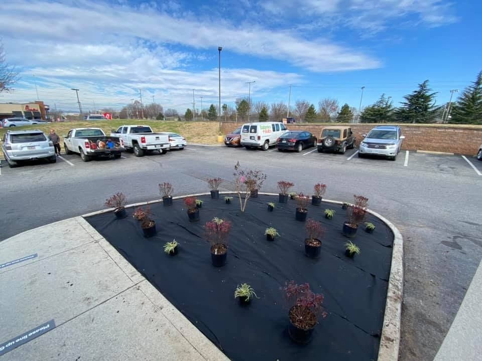 Parking lot with a curved black planter bed holding small shrubs under a blue sky