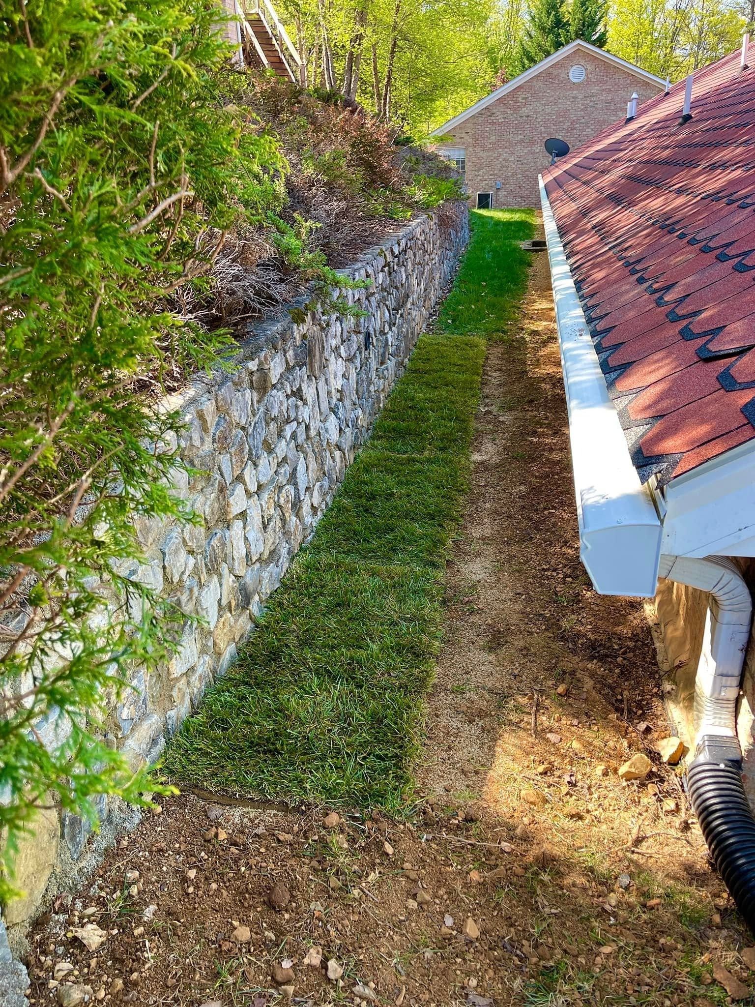 Narrow grassy alley beside a red-tiled roof and stone wall, with fallen leaves and trees overhead