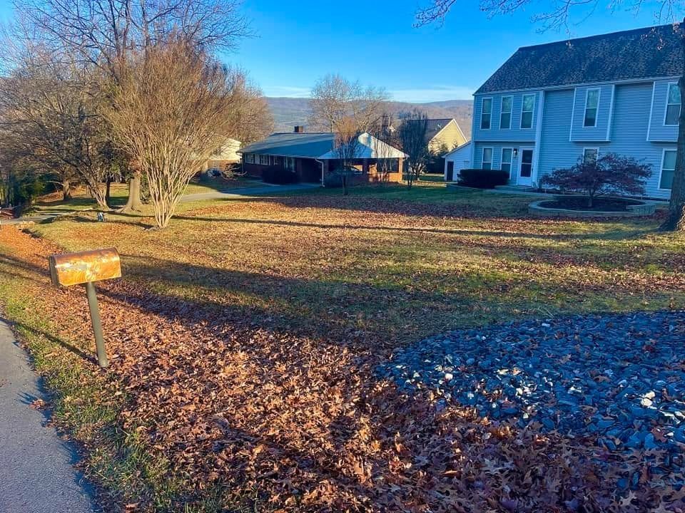 Suburban street with a mailbox, autumn leaves, and houses along a quiet residential road.