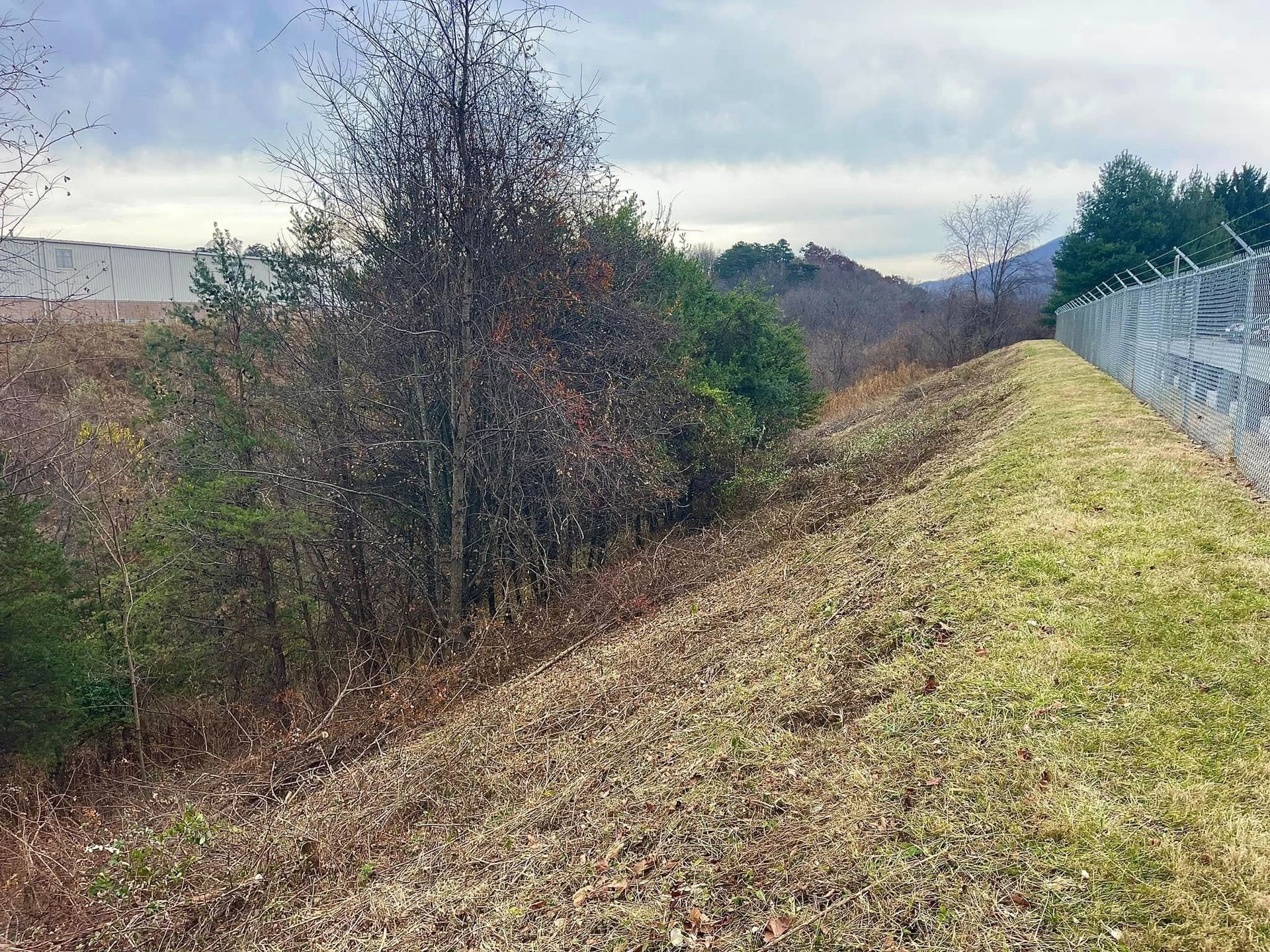 Grassy hillside beside a fence, with leafless trees and distant hills under an overcast sky
