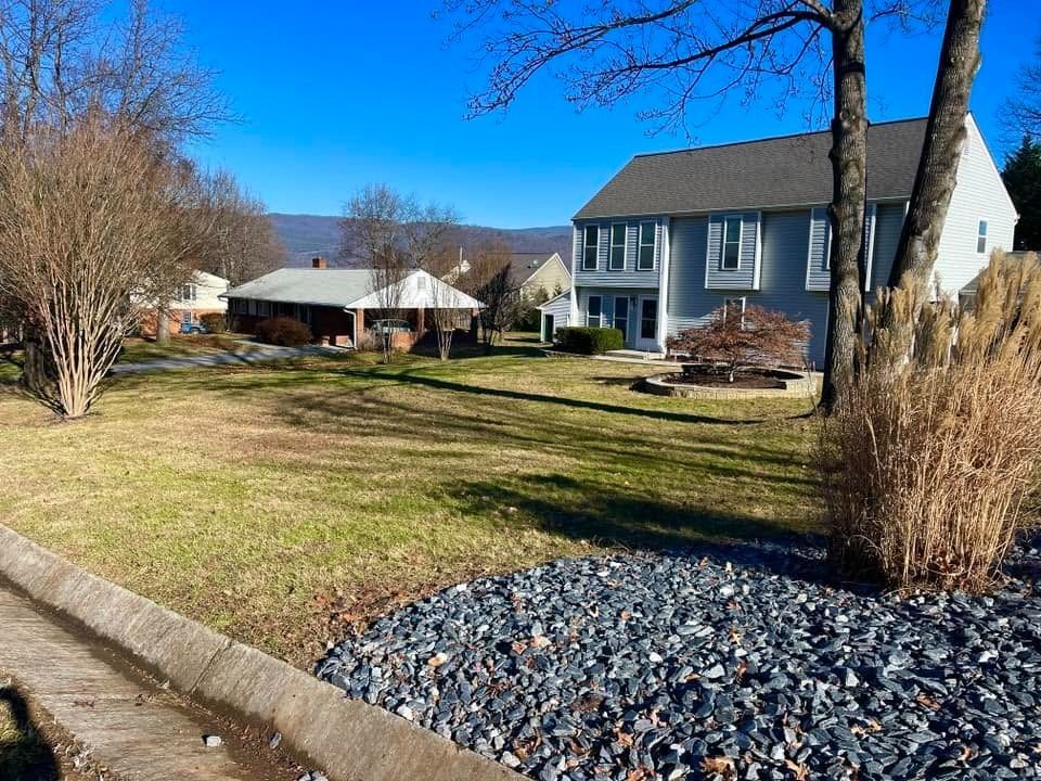 Suburban front yard with a blue house, leafless trees, and a gravel bed along the curb