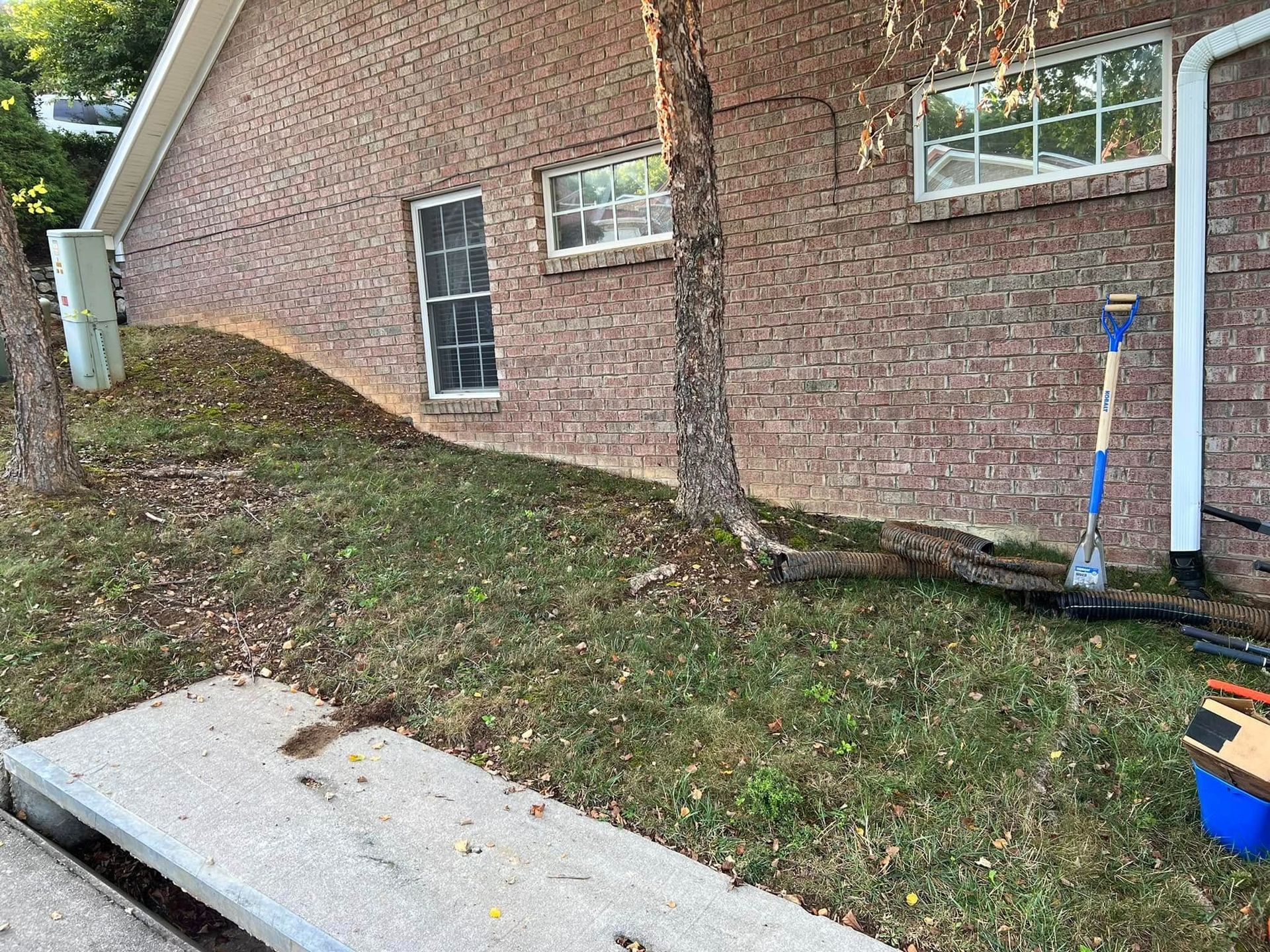 Brick house side yard with a tree, small windows, a shovel, and a concrete slab in the foreground