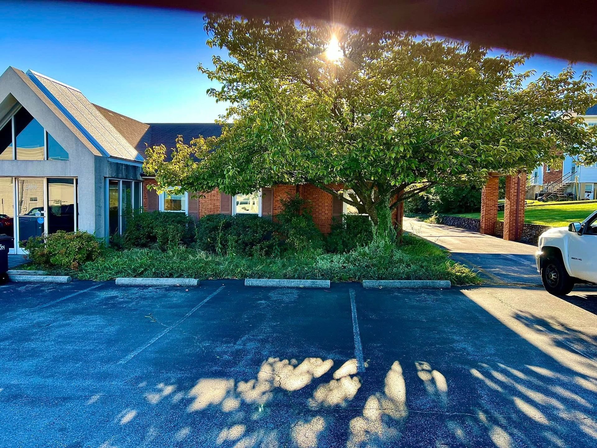 Apartment building parking lot with a large tree casting shadows in bright sunlight