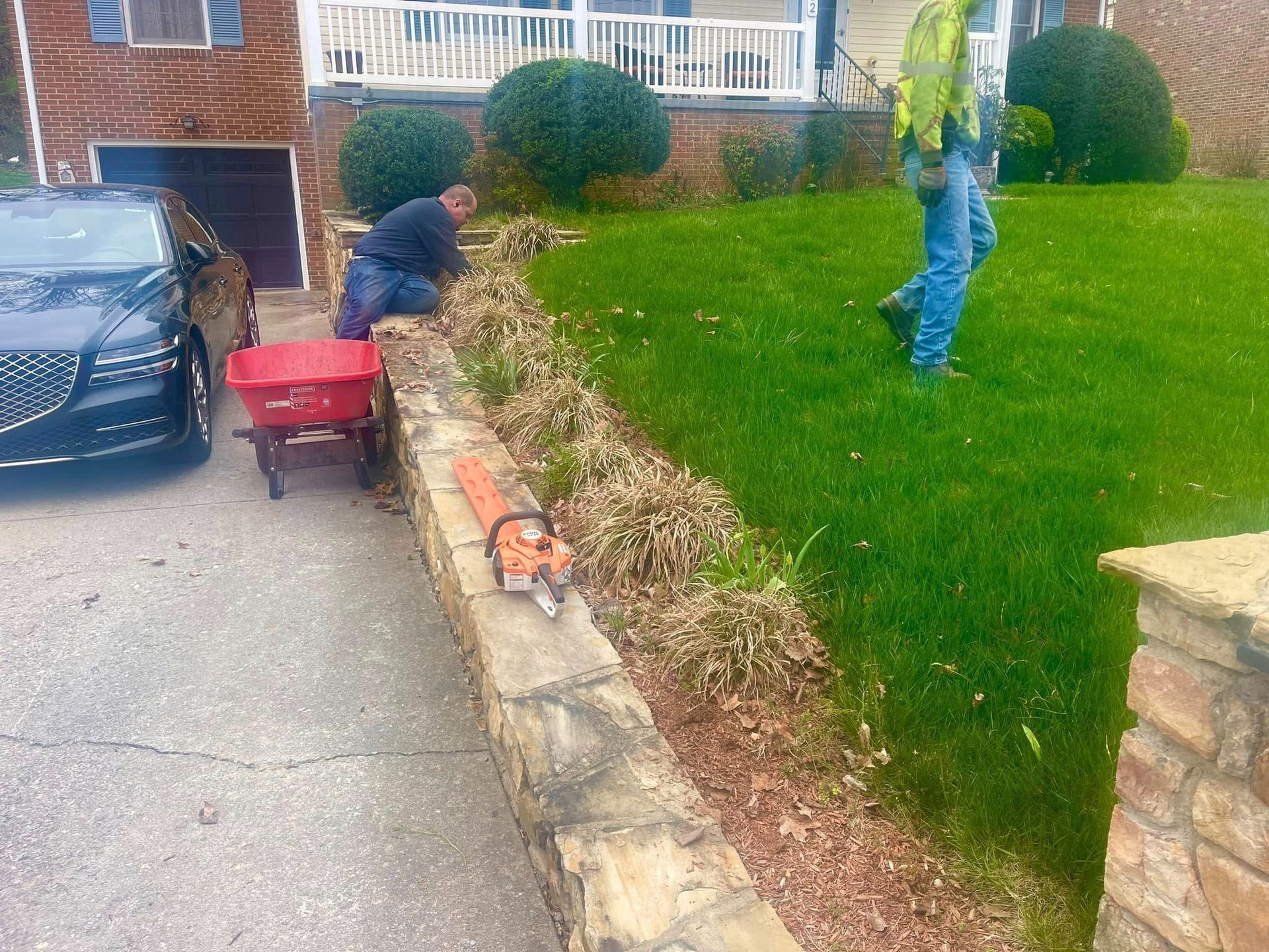 Worker trimming hedge along driveway beside a green lawn with a wheelbarrow and tools