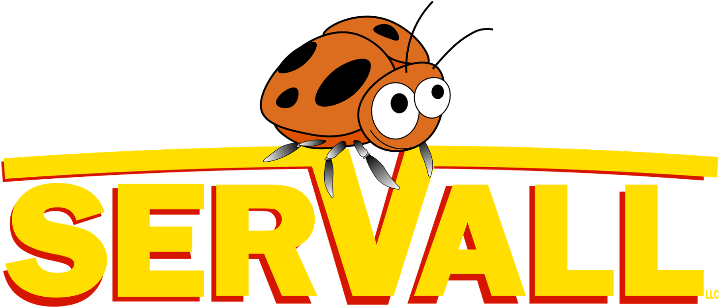 The Servall logo features a cute orange ladybug with black spots sitting atop the bold, yellow text "SERVALL."