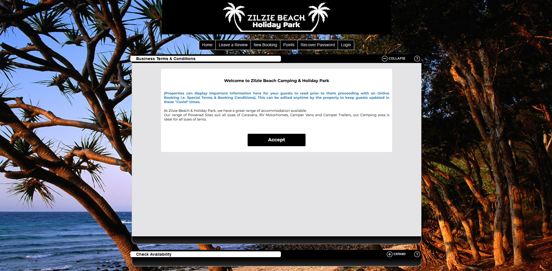A computer screen shows a beach with palm trees and the ocean in the background