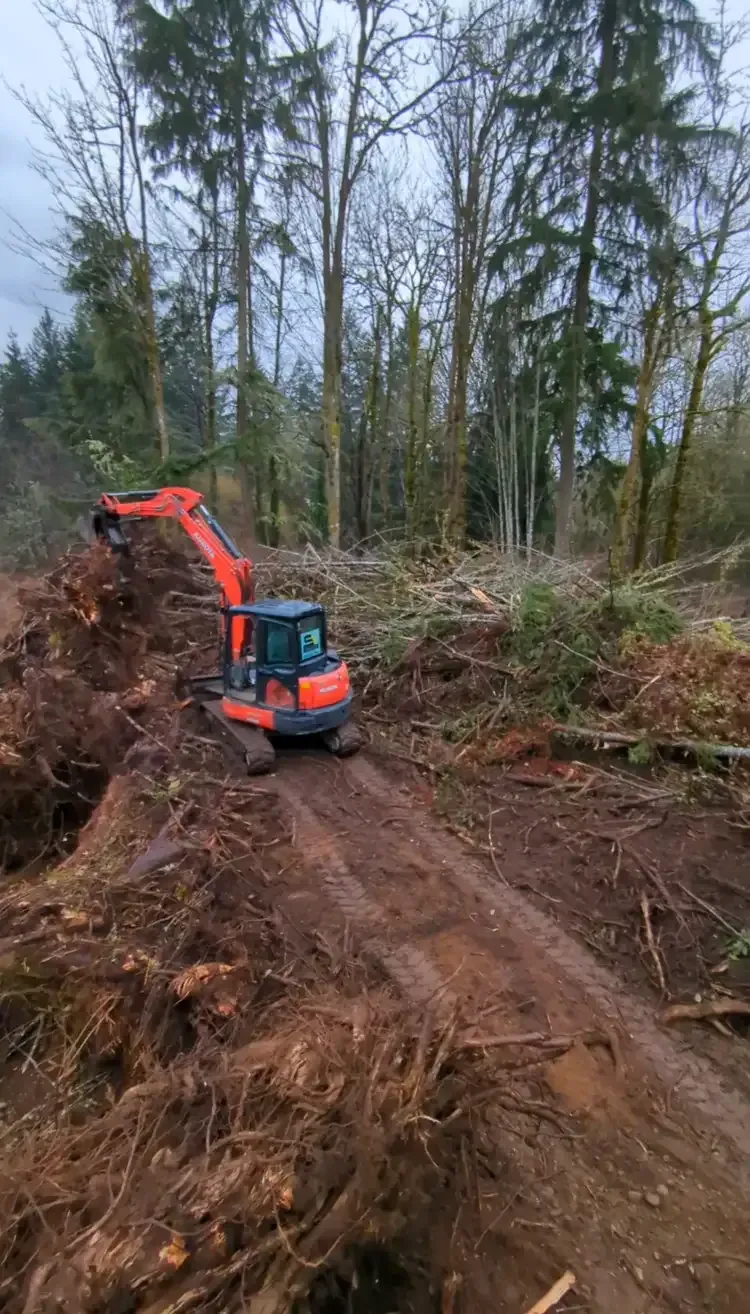 A bulldozer is driving down a dirt road in the middle of a forest.