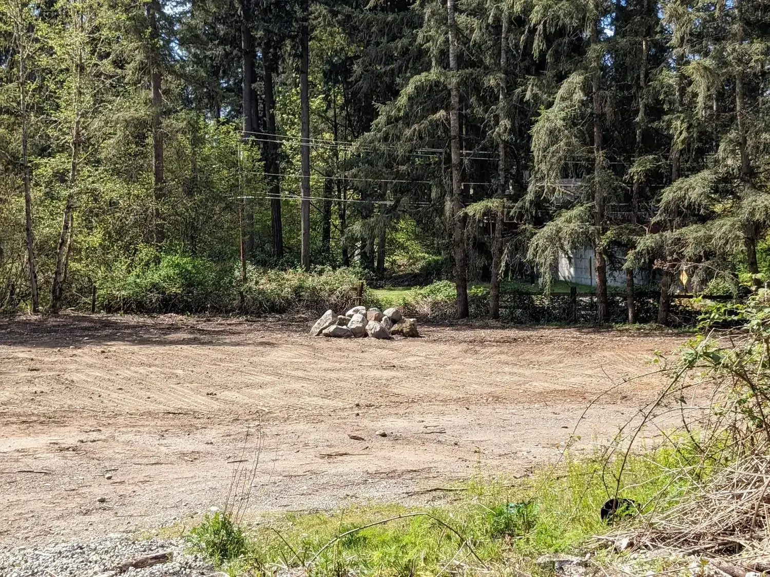 A dirt field in the middle of a forest with trees in the background.