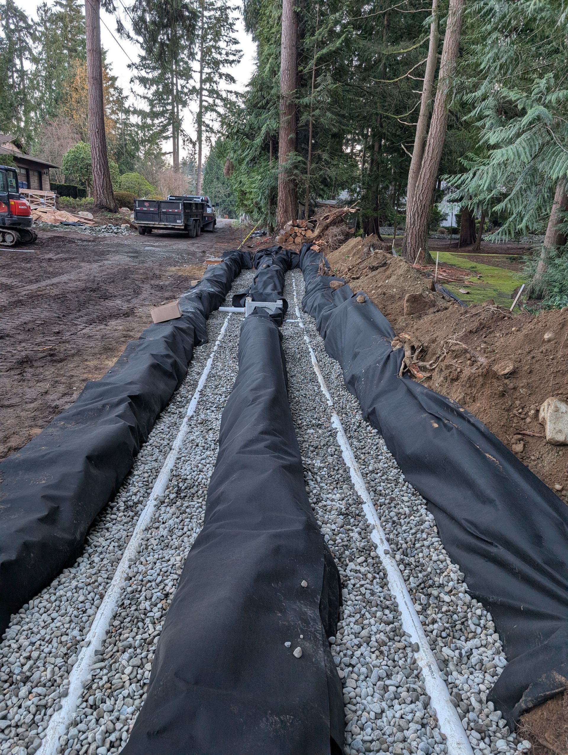 A drainage system is being built in the middle of a forest.