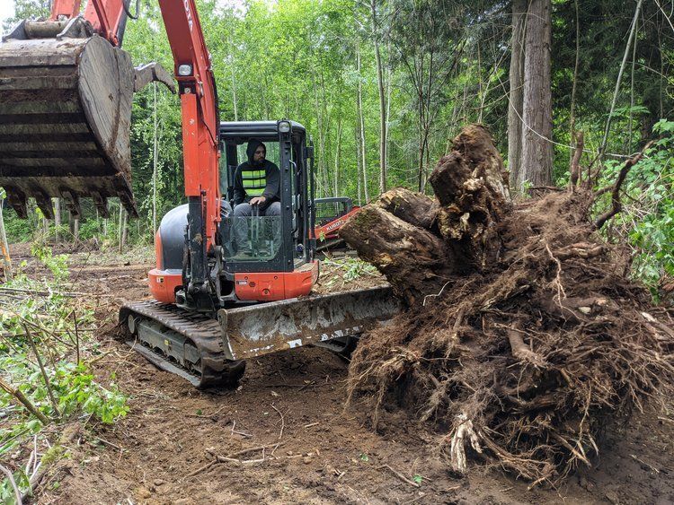 An excavator is moving a large pile of dirt in the woods.