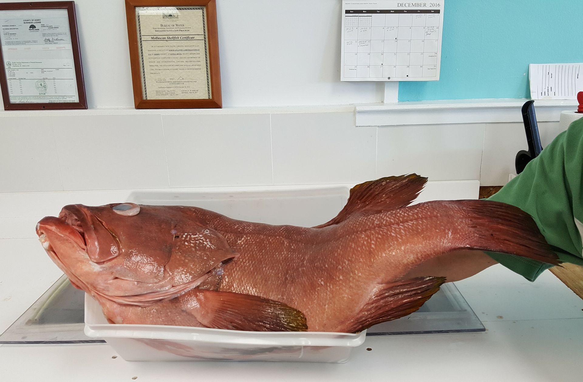 Fresh Seafood North Myrtle Beach, SC North Atlantic Seafood Market